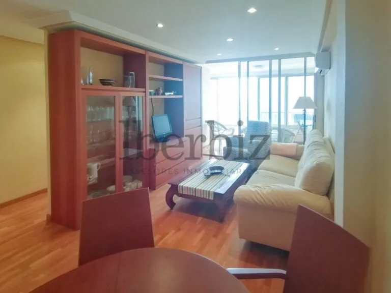 Iberbiz_Alicante_Panorama-10